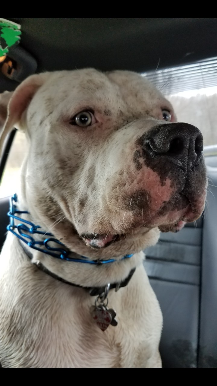 who me??