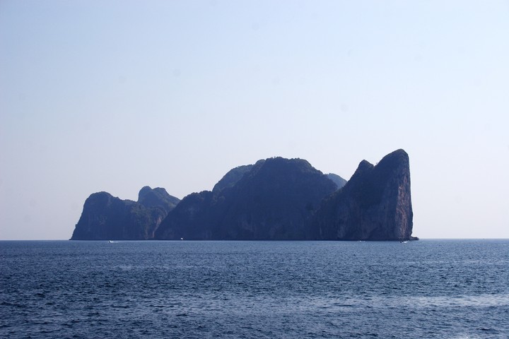 Scenics