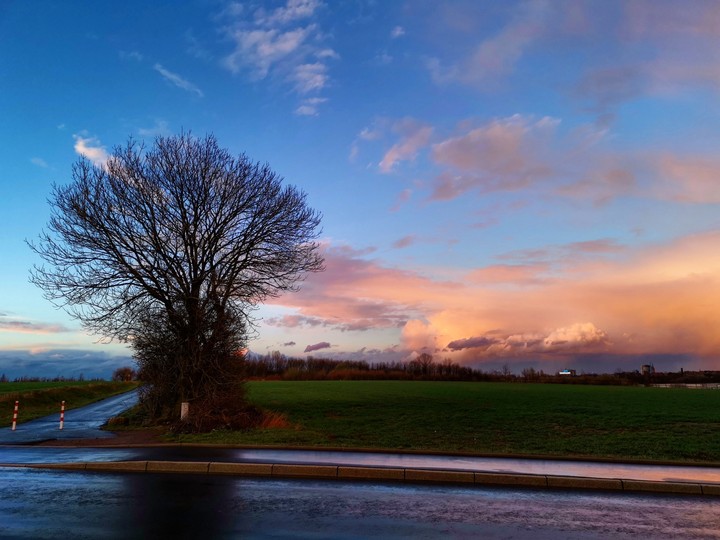 Nature photo