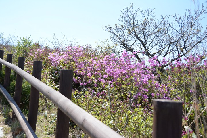 지리산이미지