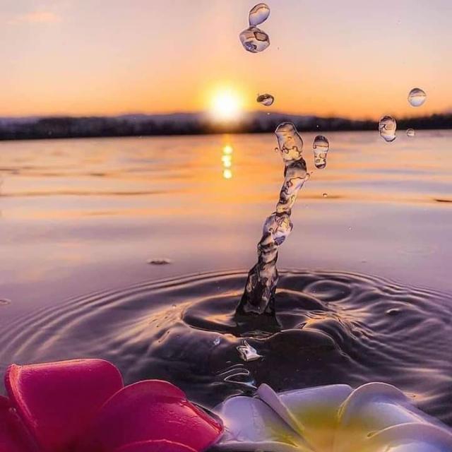 Sun Set