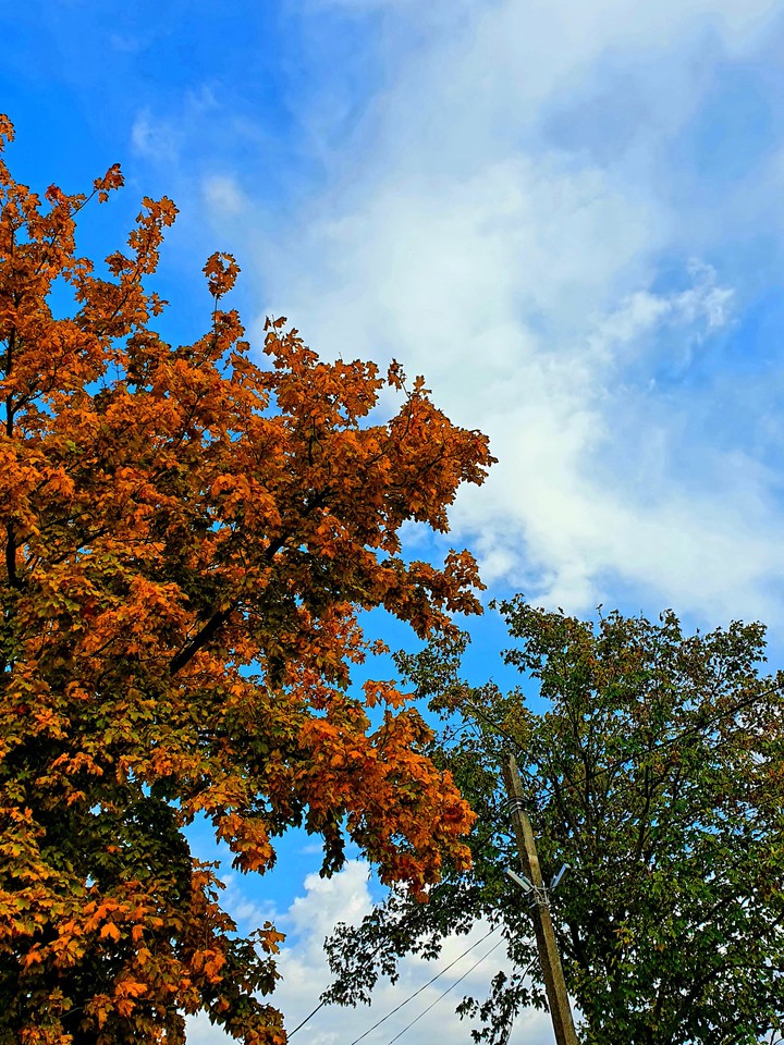 Autumn