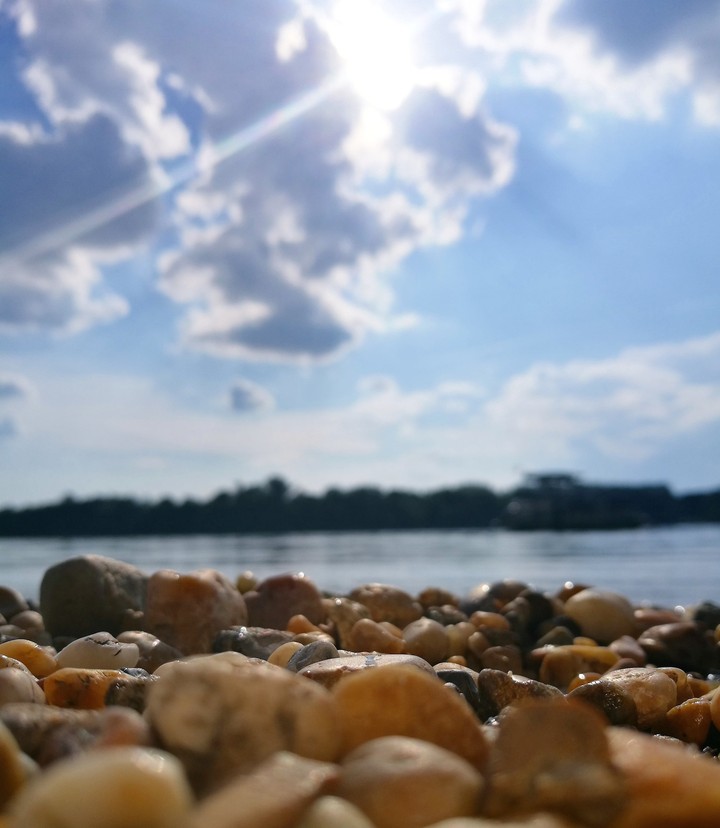sunnyday