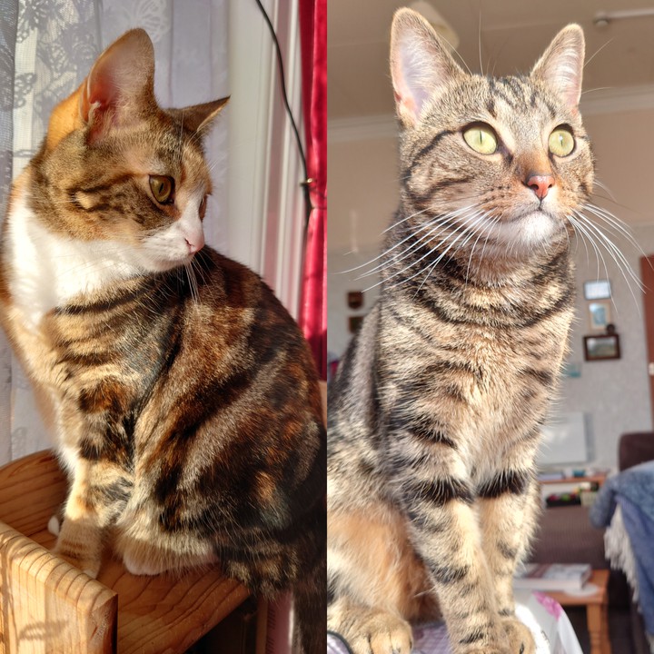 Penelope & Dilwyn.