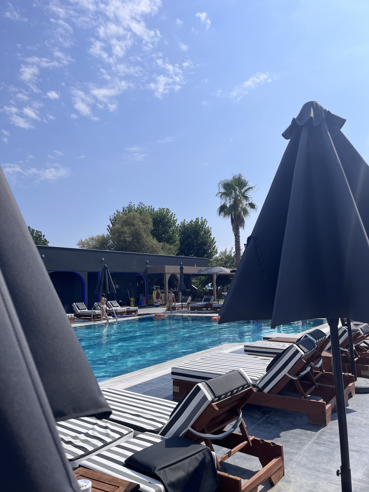 обои leisure, recreation