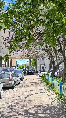 #файнемiстожитомир #ранок #житомир #Ukraine