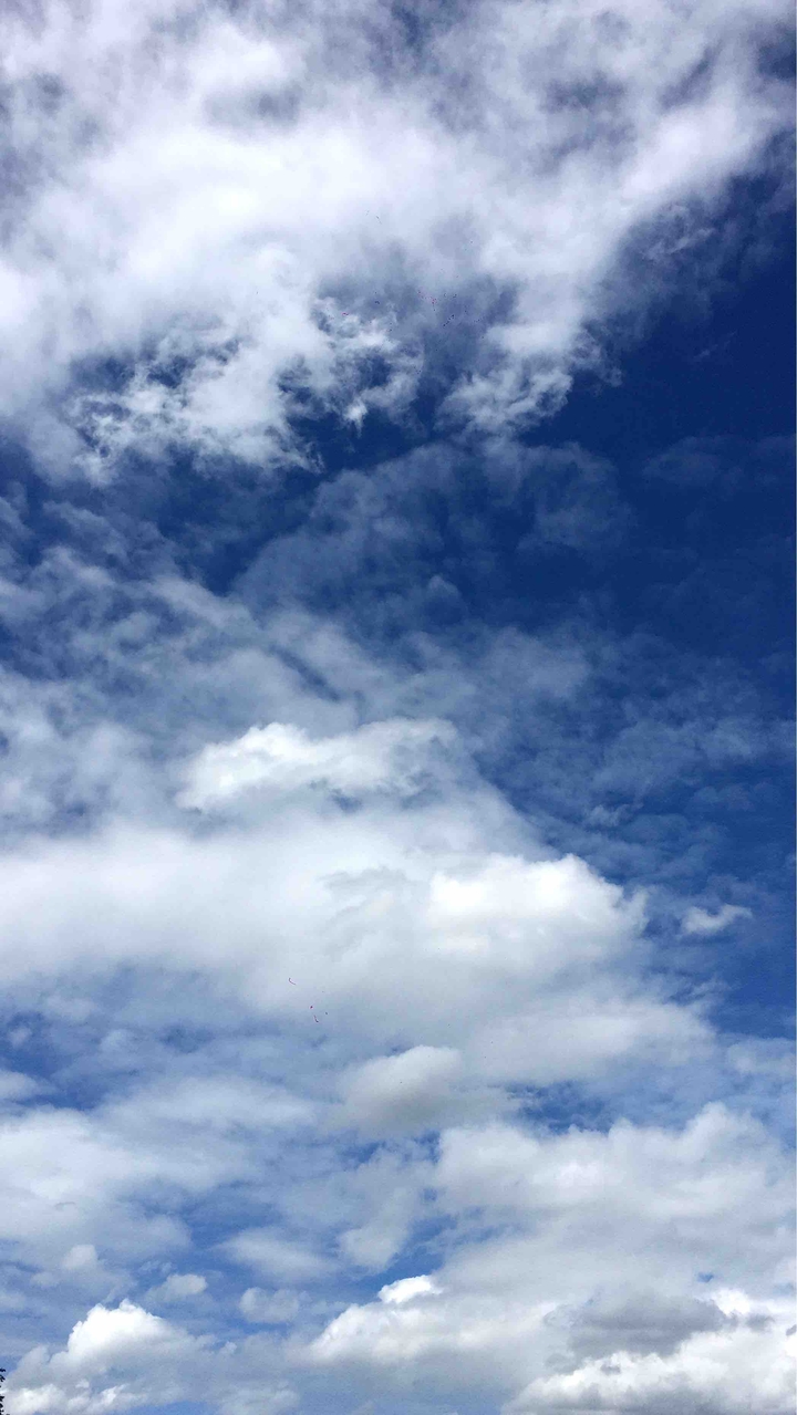 SEE SKY SEE YOU