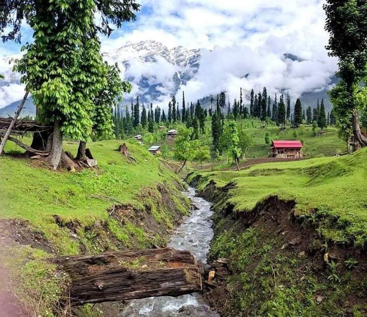 pakistan