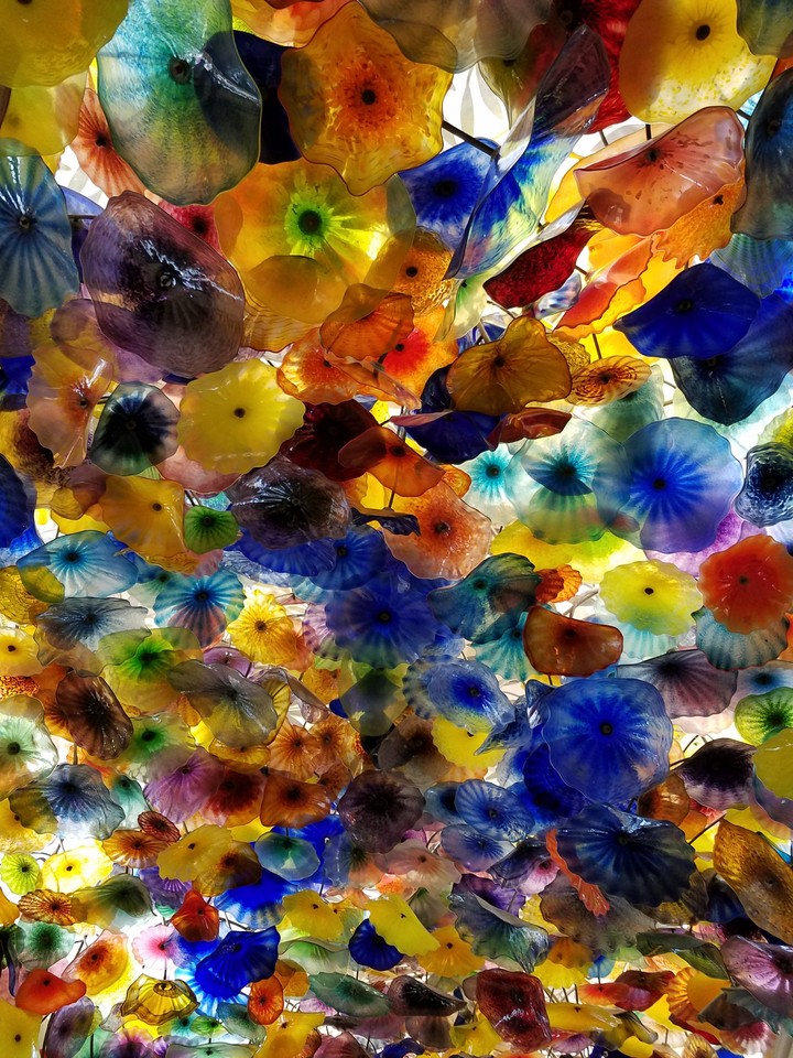 Colors
