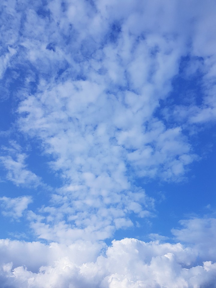 Up in the sky