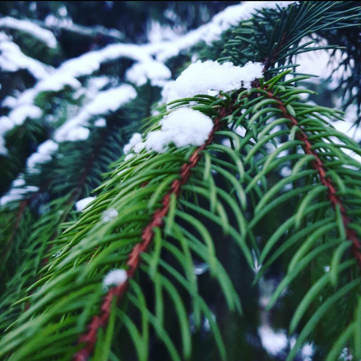 First snow