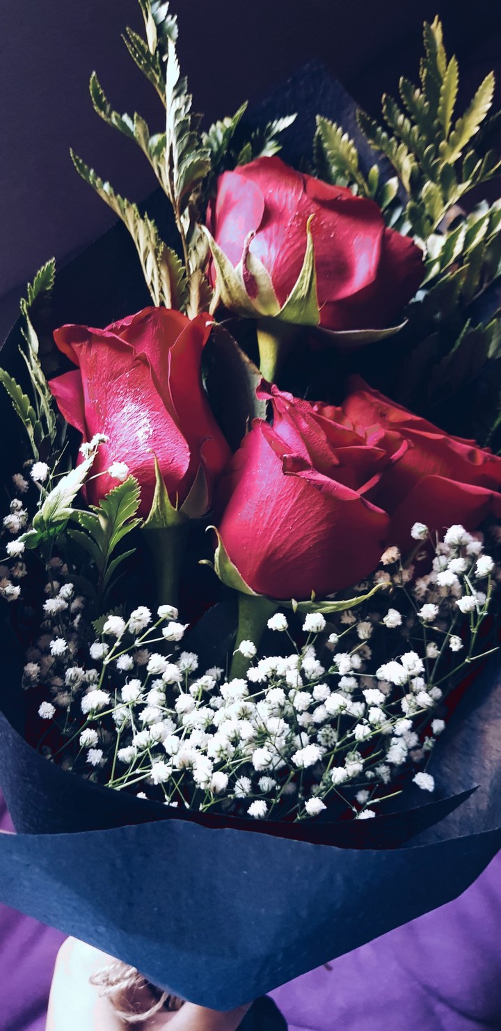 gift 2