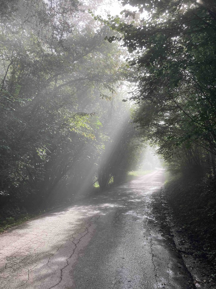 light