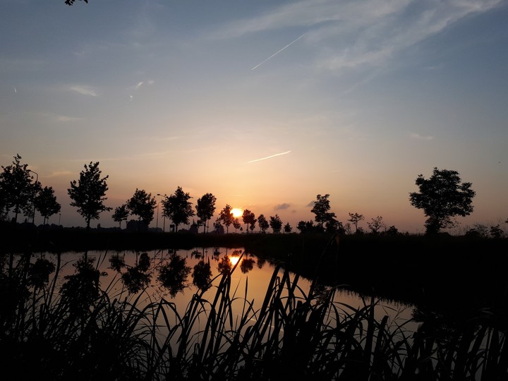 sunset