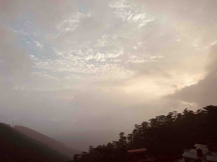 Shimla Dairy