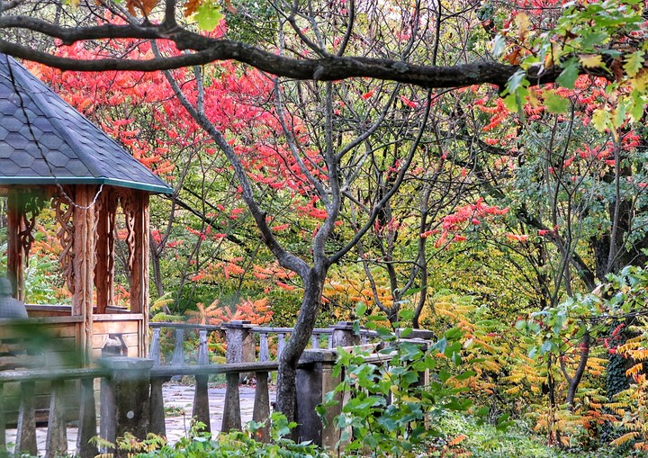 Beautiful garden