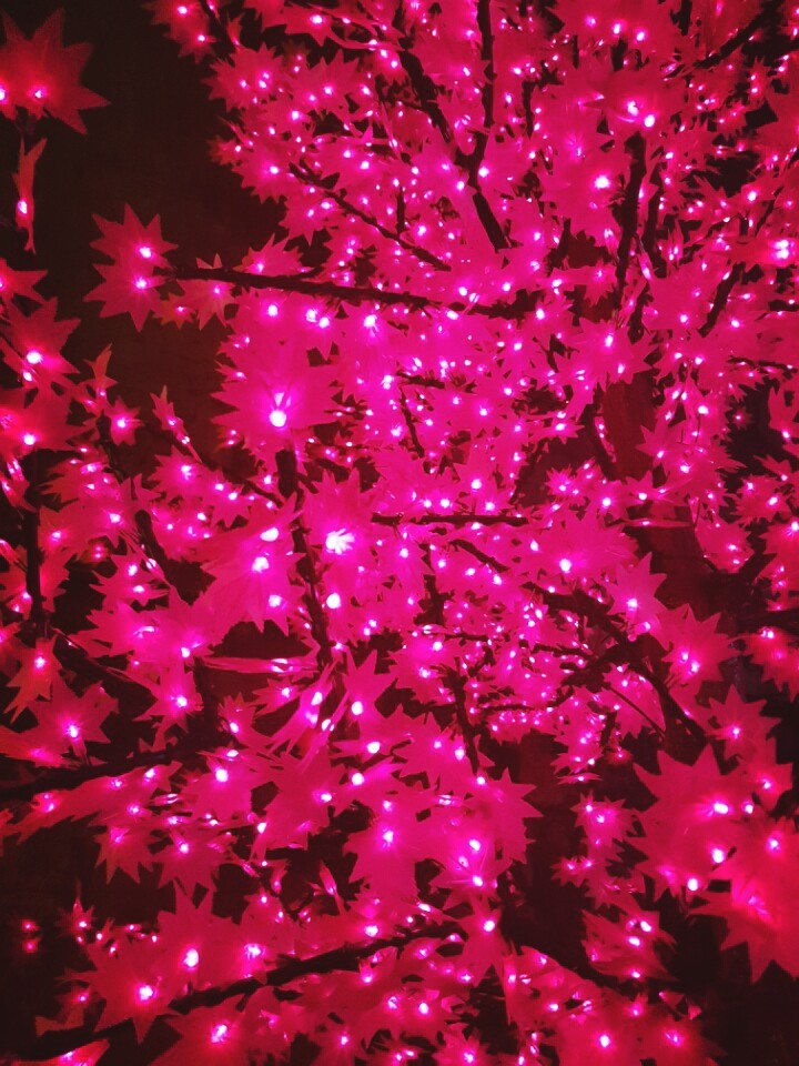 blossom