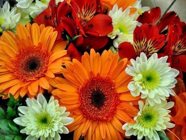 Flowers