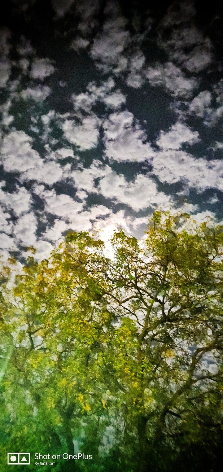clouds