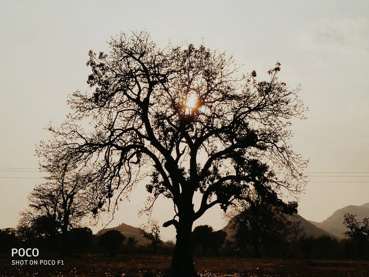 pic of beauty when u r alone