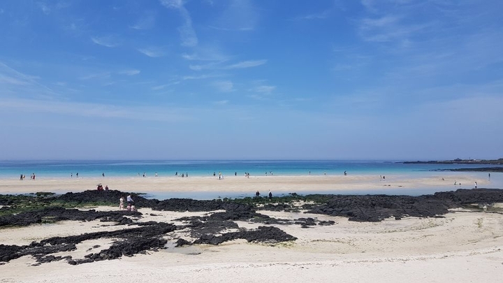 제주도바다