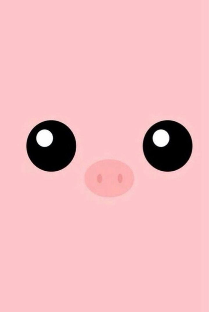 This is pig