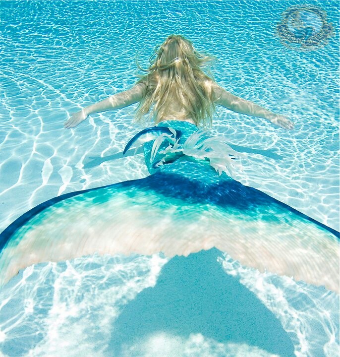 Swim in the clear blue