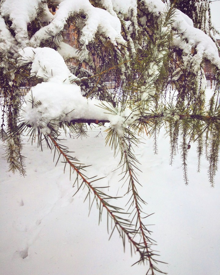 snow