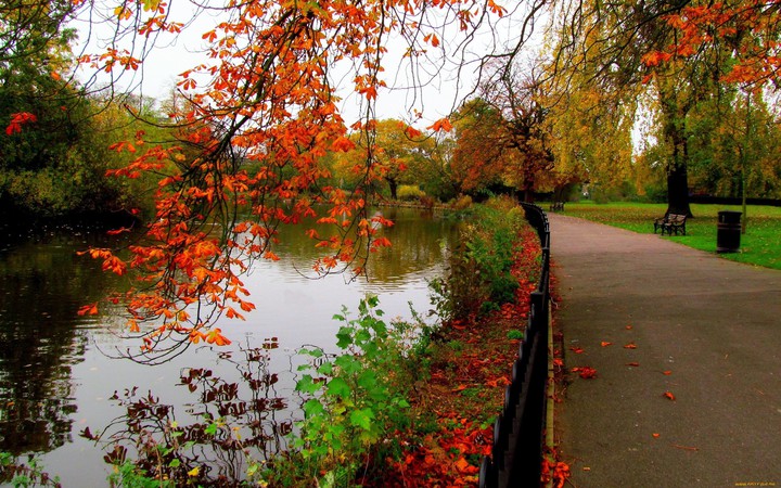 autumn(осень)