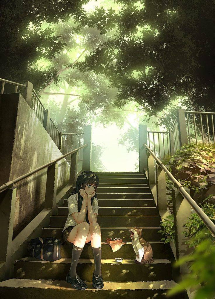 anime