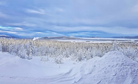 Swedish lapland