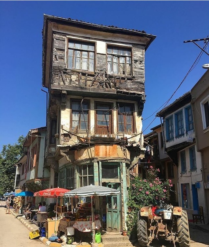 Trilya(zeytinbağı) Mudanya BURSA/TÜRKİYE