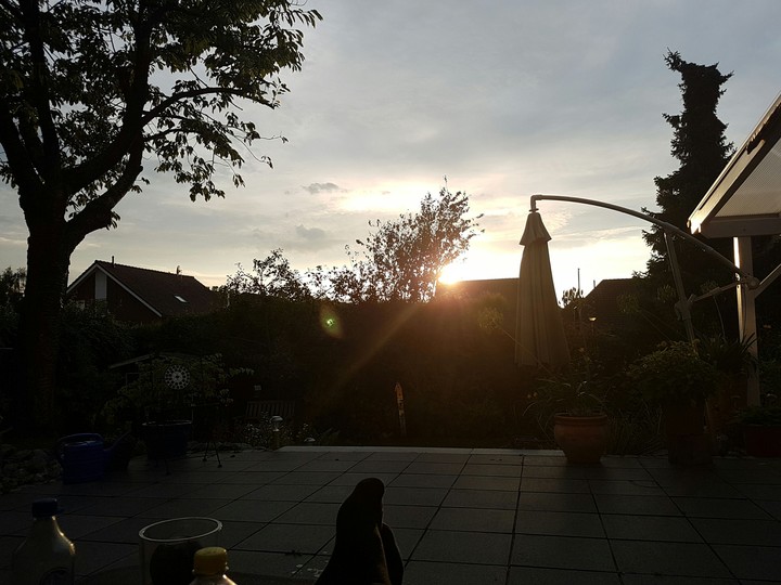 sun