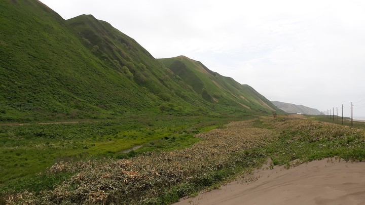 coast