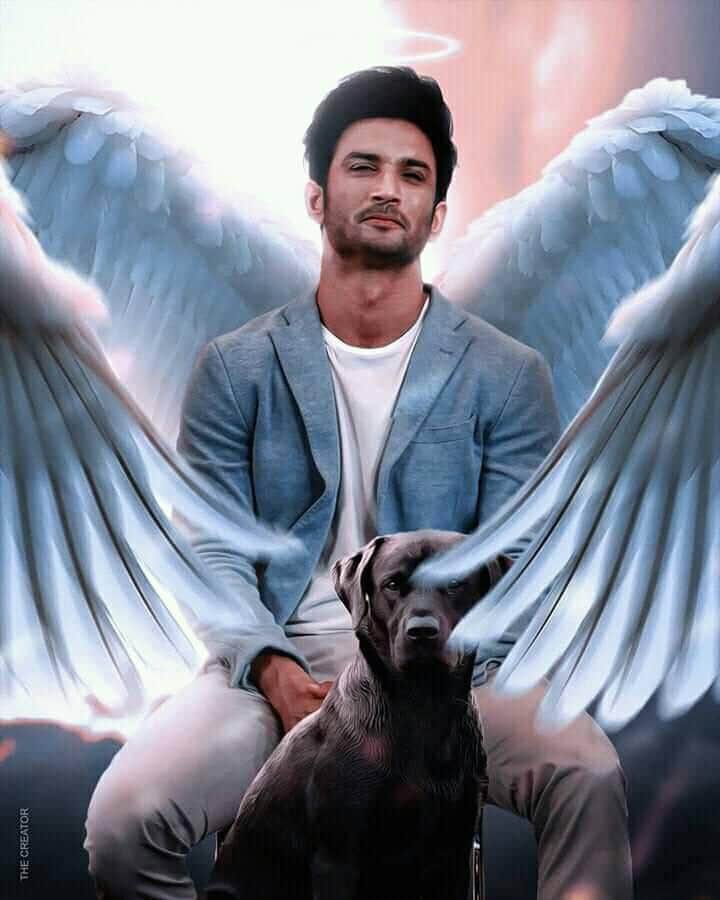 Angel