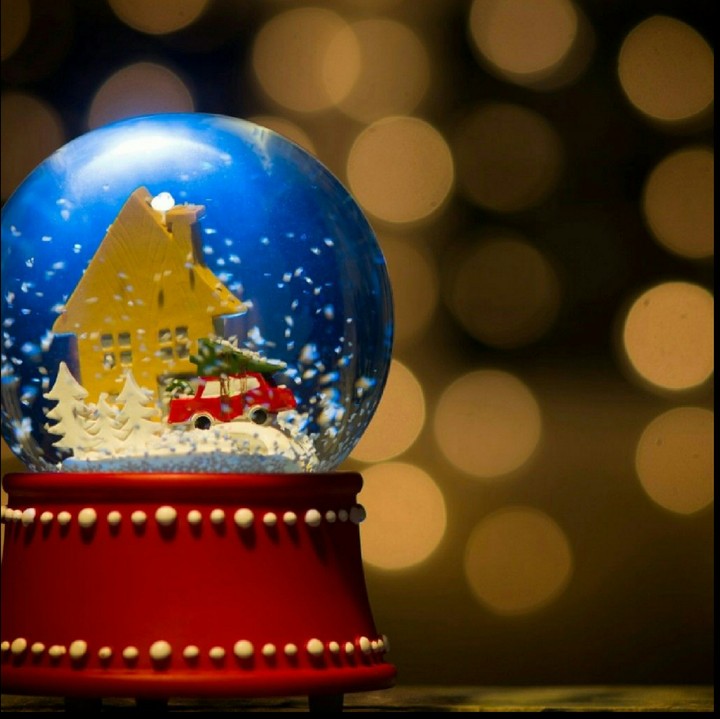 snow globe