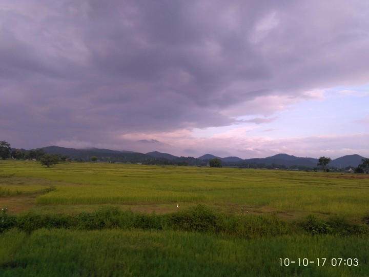 nature