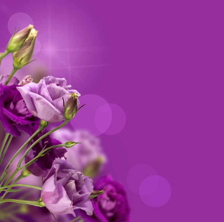 purple