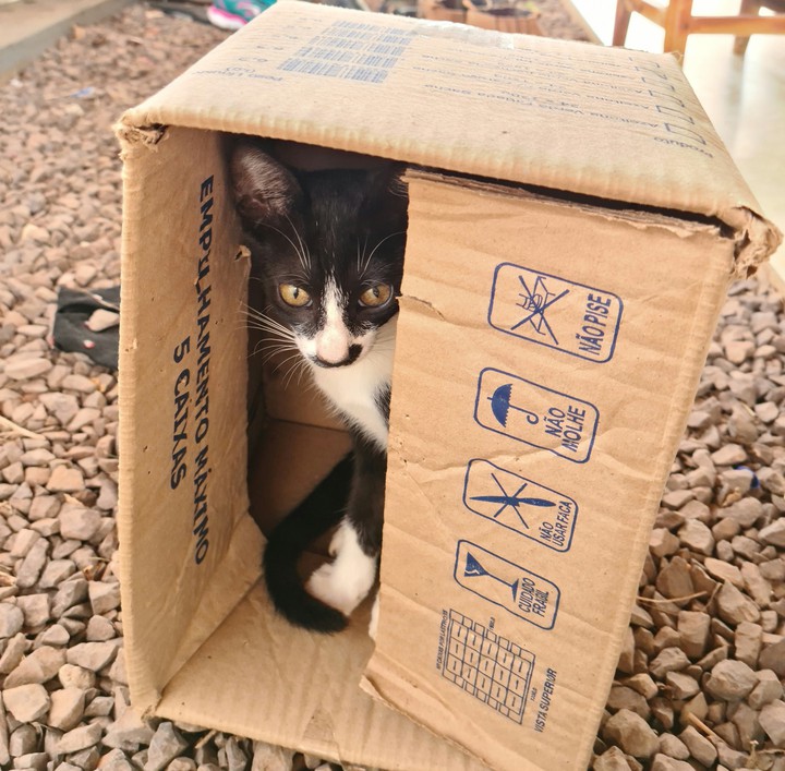 cute ?
