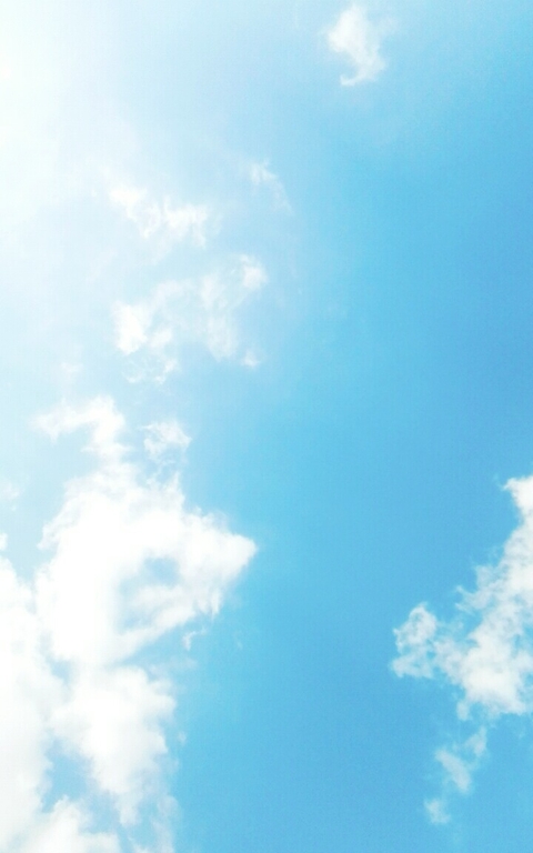 @nature, blue桌布
