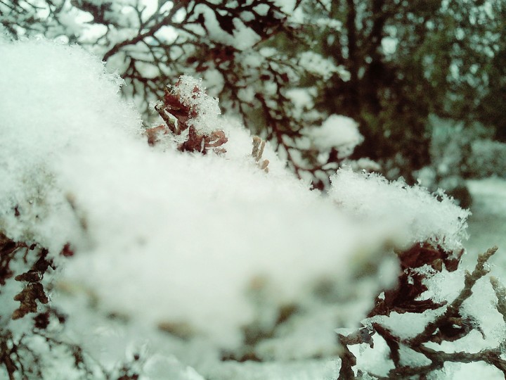 snow