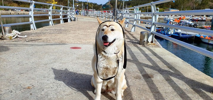 ,