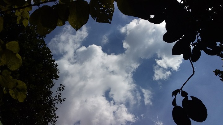 my capture