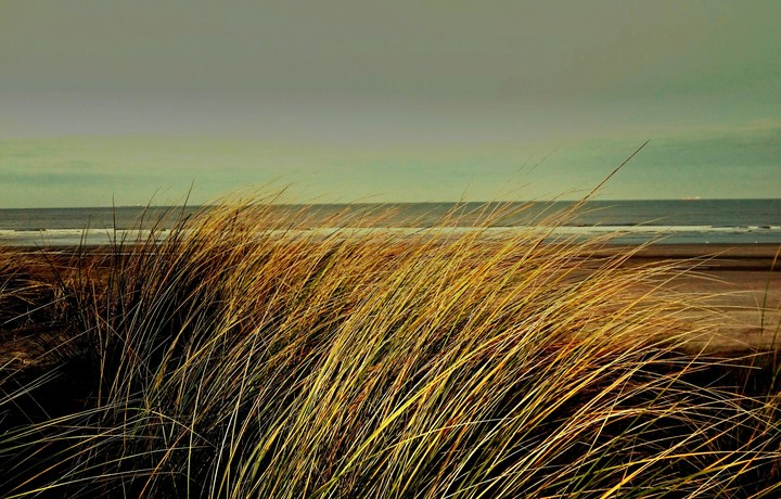 beach