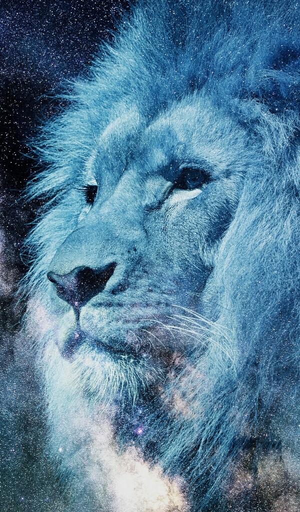 Lion <3