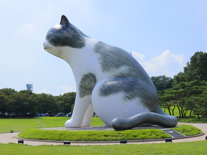 거대 고양이 (Giant Cat)