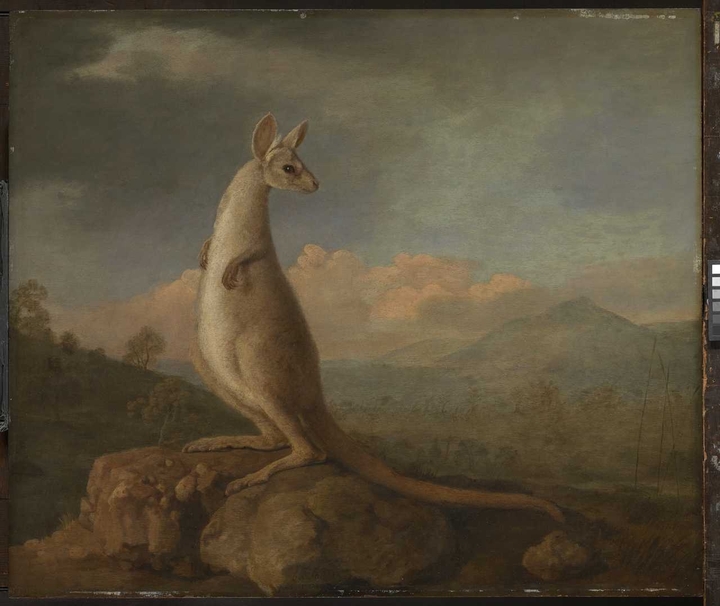 George Stubbs / Academic art, Rococo /1772