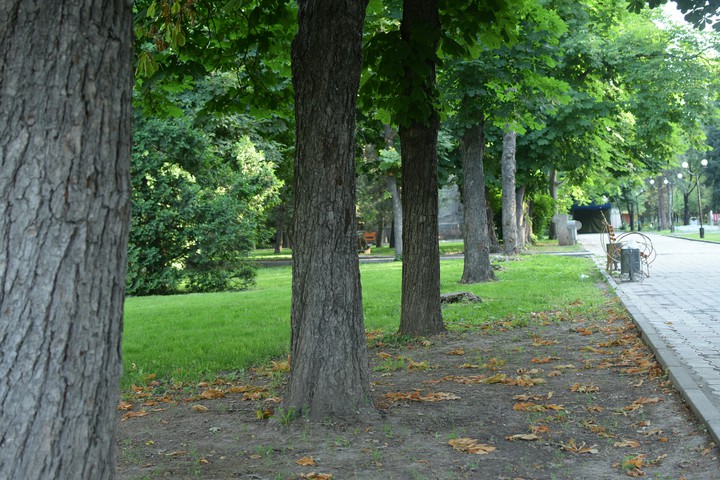 парк   осень