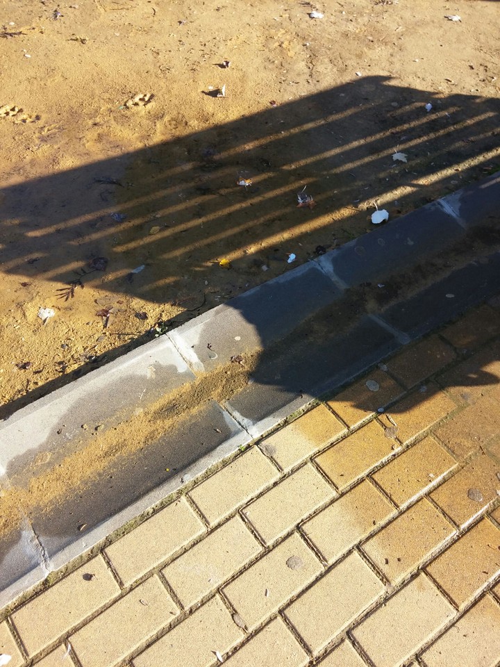 Penas