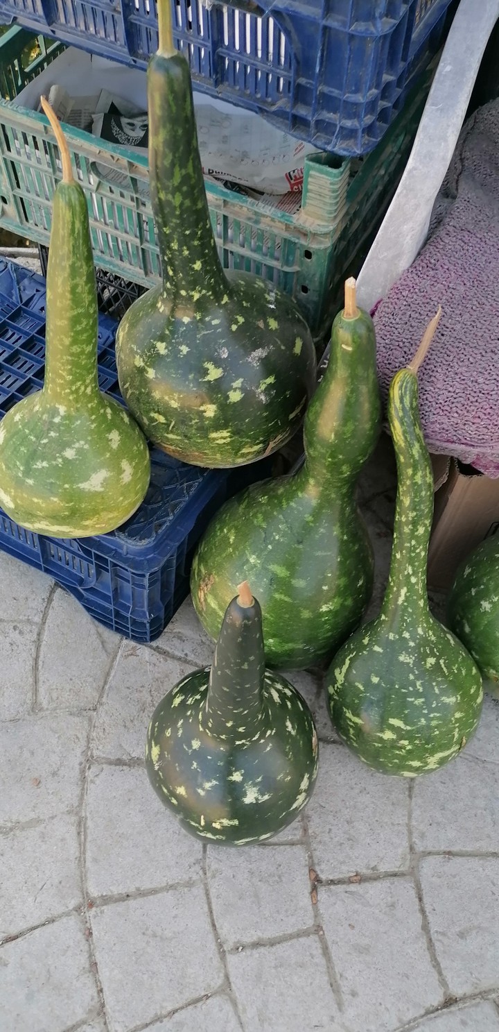 süs kabagı. ??